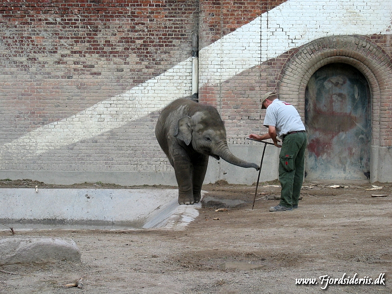 KBH zoo 190703 420.JPG